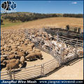 wholesale alibaba America Cheap Horse Fence / cattle fence panel / sheep fencing